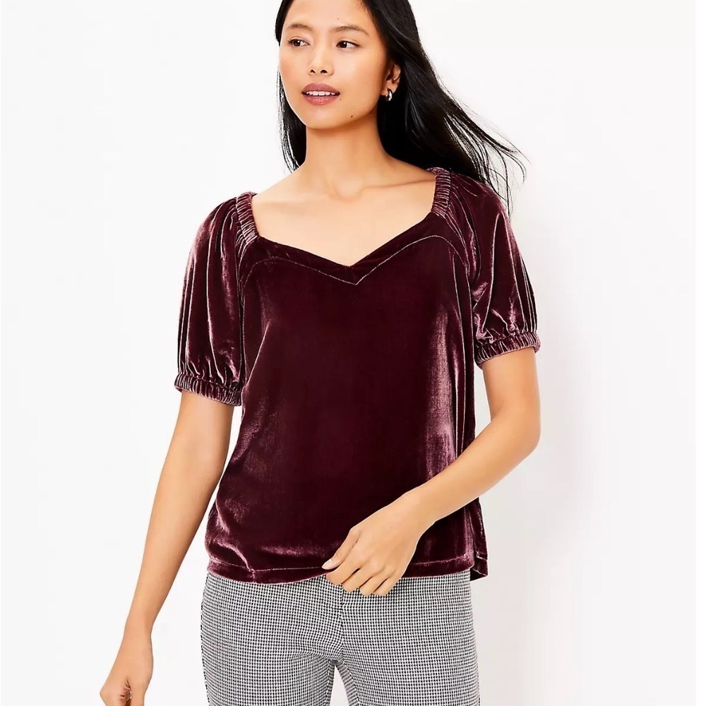 NWT Loft Velvet Puff Sleeve Top in a beautiful light burgundy color Sz XL